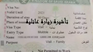 السعودية تحدد 90 يوماً لضبط أوضاع نصف مليون مقيم بجوازات الأسر